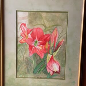 Painting of a blooming Amaryllis